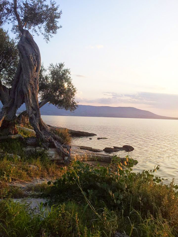 lago di varano lago di Varano spettacolo acqua ulivi
