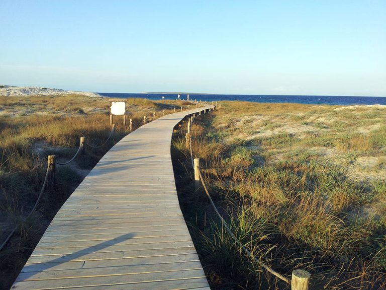Ses Illetes Formentera dune passerella mare isola